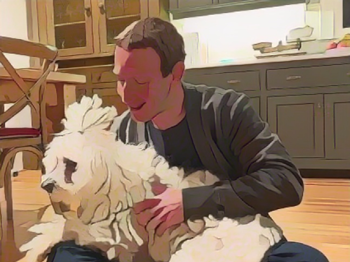 Семейная собака Марка Цукерберга Зверь - пули, венгерская овчарка
