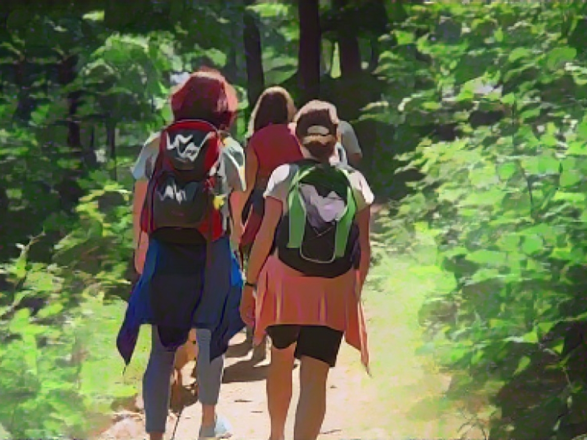 Ein paar Wanderer im Pfälzerwald