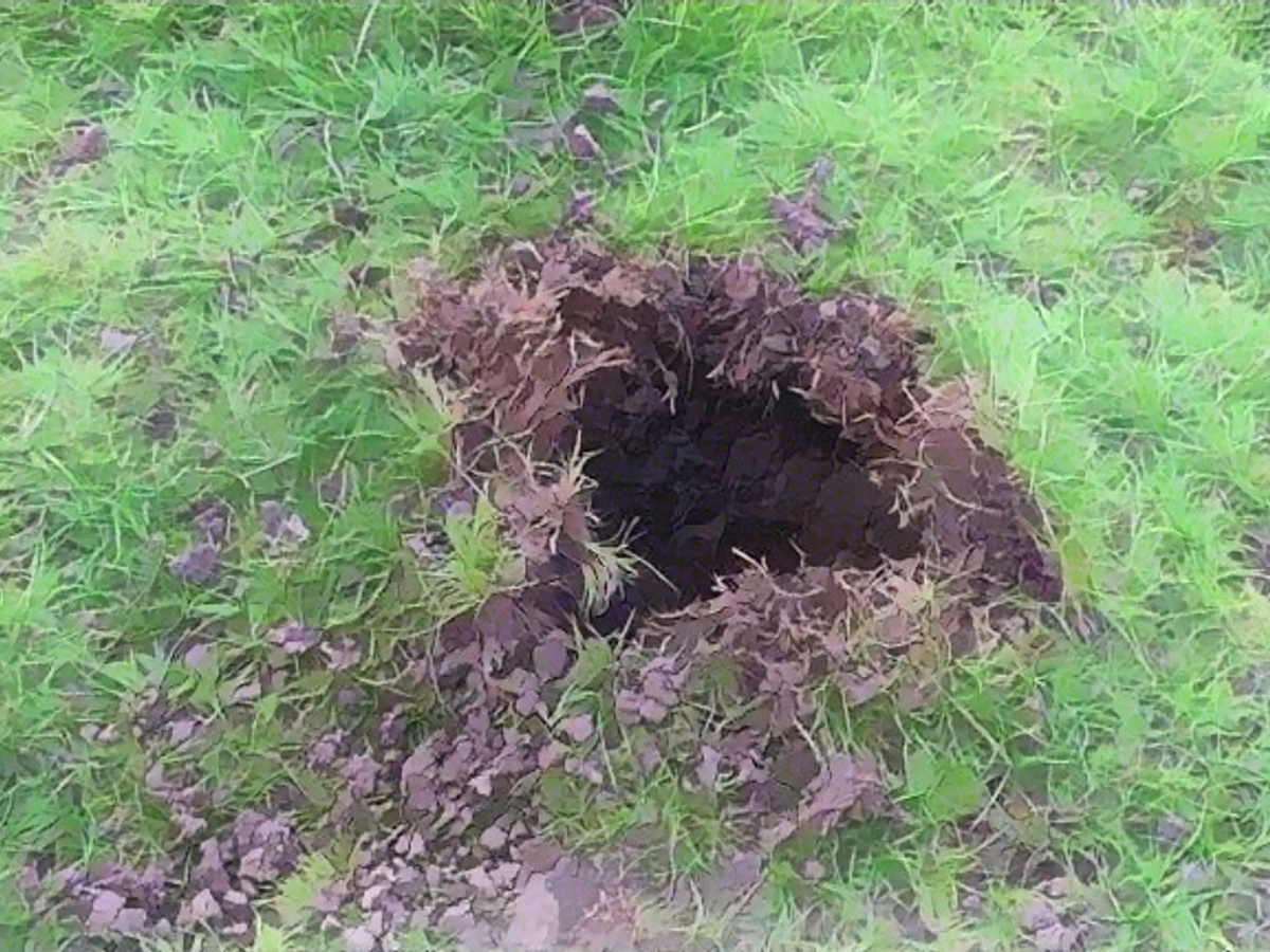 In diesem Loch im Garten fand die Familie den wertvollen Meteoriten