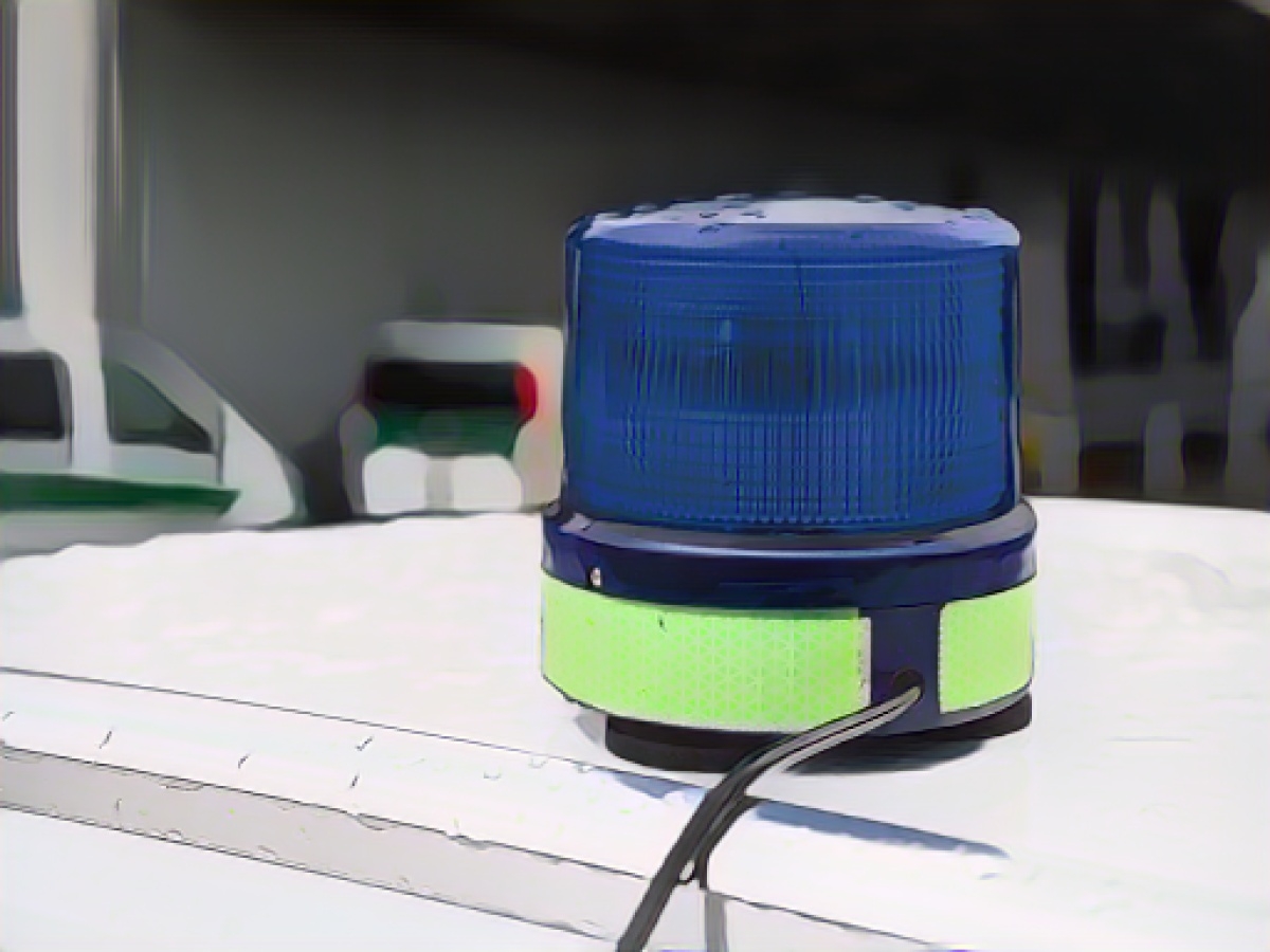 Burglar steals guinea pigs and scatters rat poison