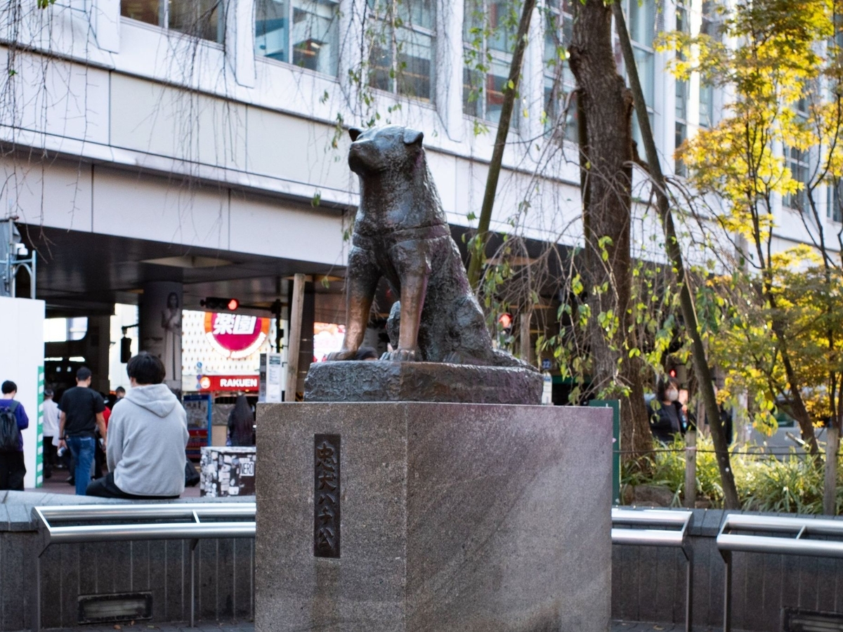 El famoso perro de Japón Hachiko nació hace 100 años