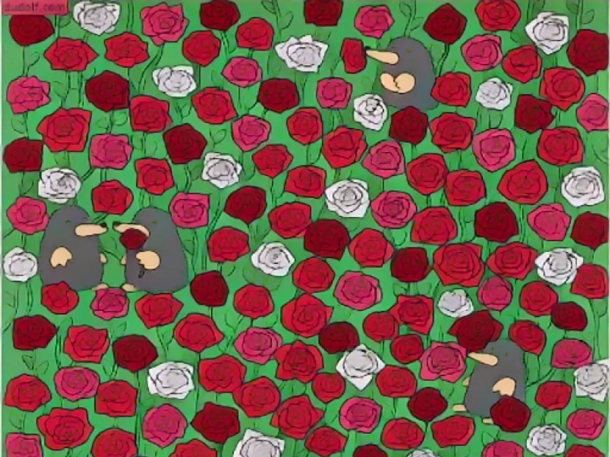 Discover the Three Hidden Gems in this delightful Rose-Filled Mystery!