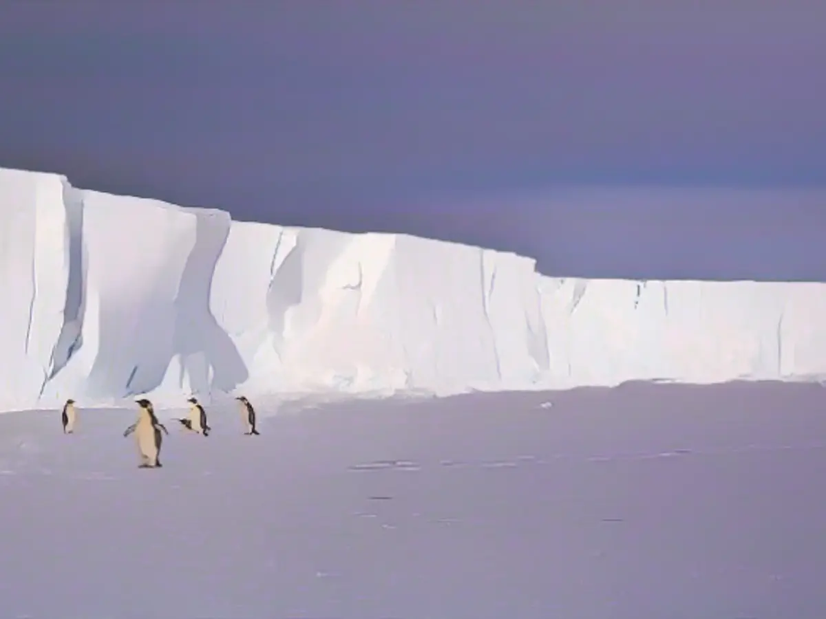 World's largest iceberg starts to move