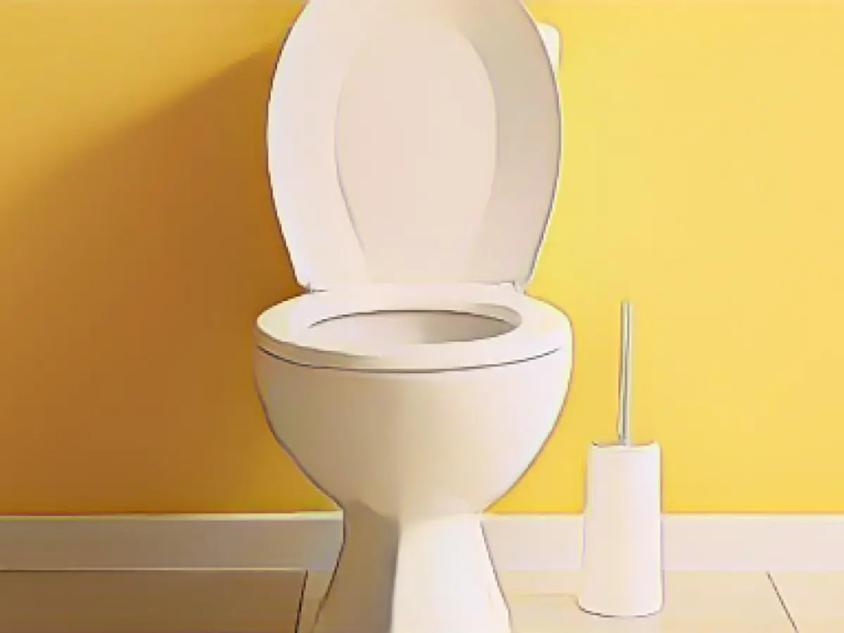 Why you should consider flush toilets