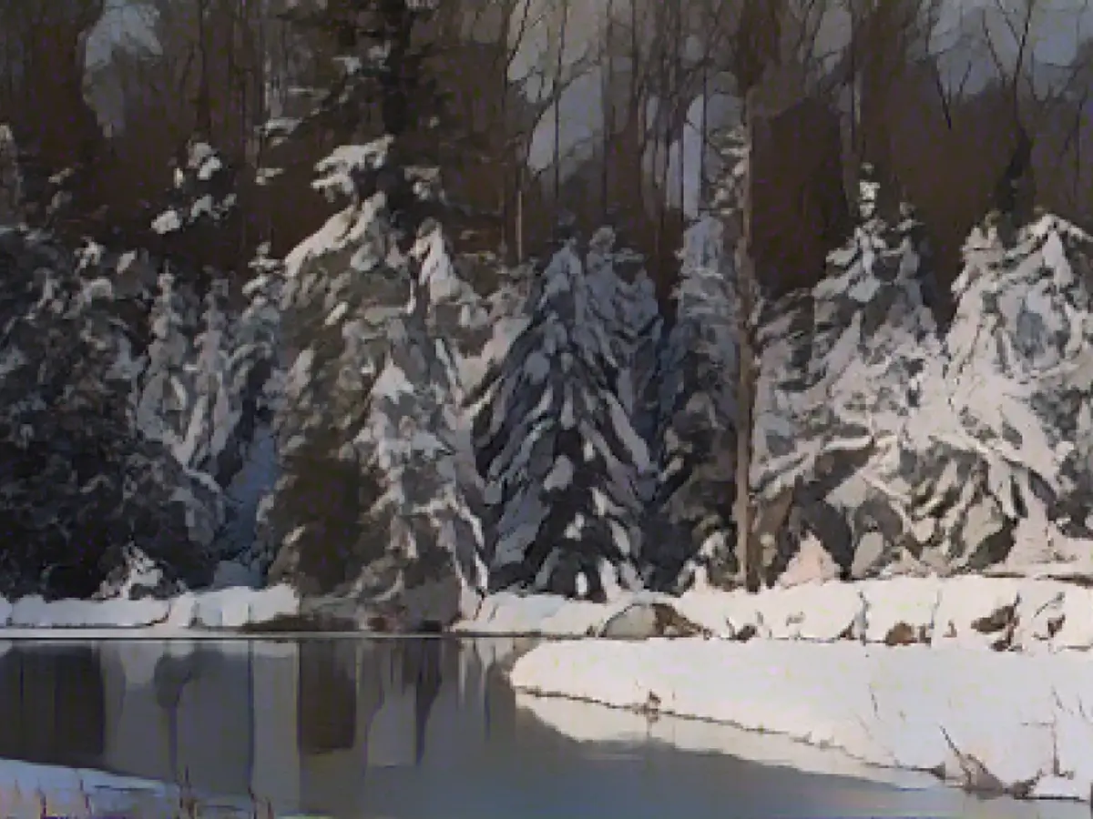 I challenge you again to go cut down a Christmas tree in a national