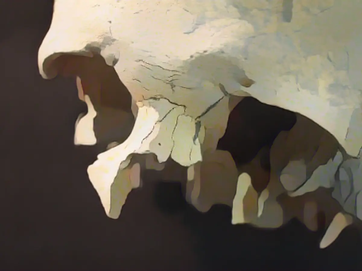 Questo cranio apparteneva a Dickon, morto di peste.