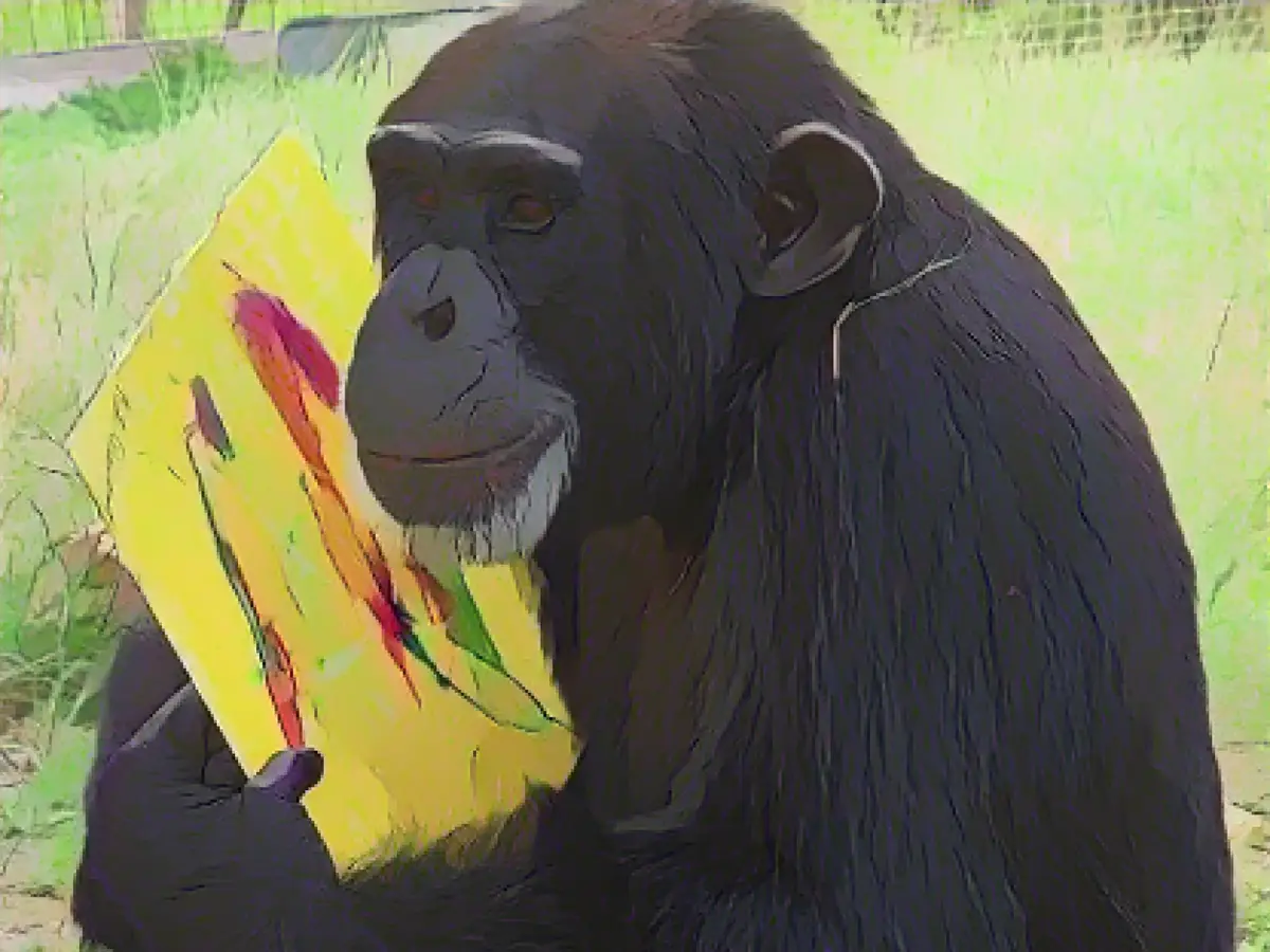 Крамер, шимпанзе из заповедника Save the Chimps во Флориде, на фото с произведением своего искусства.