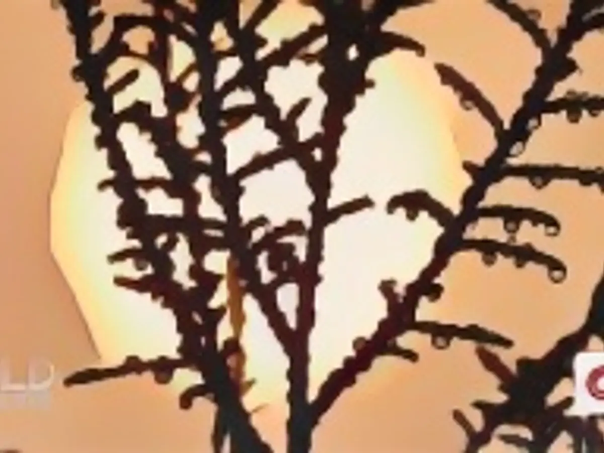 FST-Wassereinlagerungen