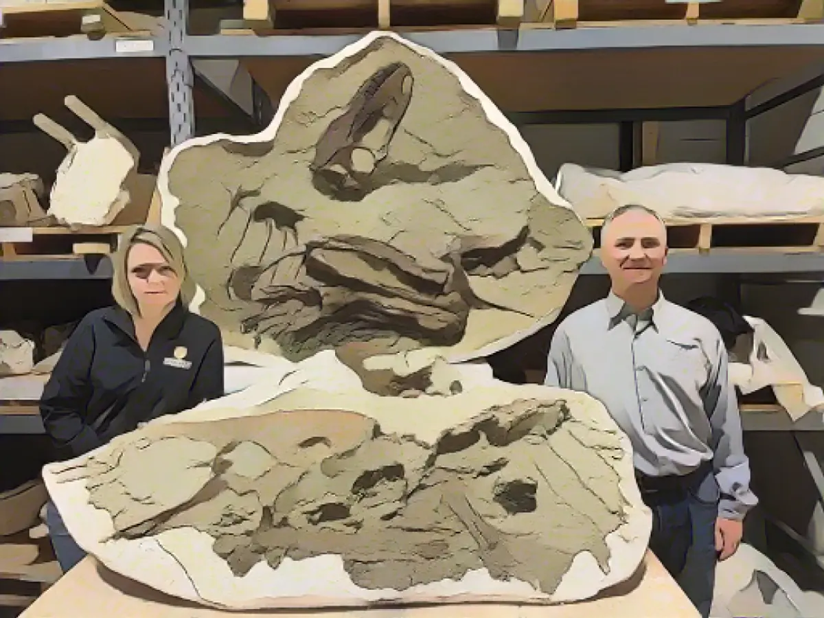 Darla Zelenitsky, professore associato presso l'Università di Calgary, e François Therrien, curatore della paleoecologia dei dinosauri presso il Royal Tyrrell Museum di Alberta, sono accanto al giovane esemplare di Gorgosaurus.