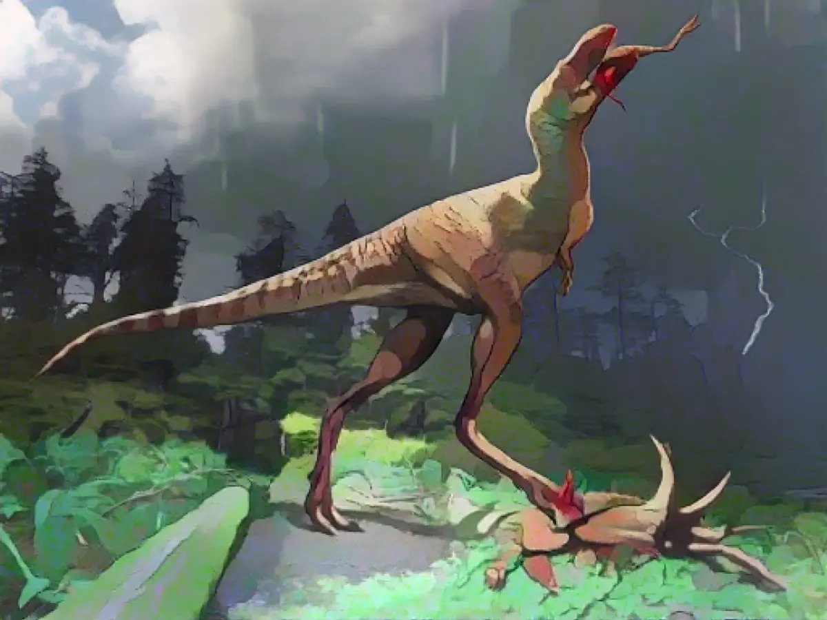 Un'illustrazione mostra un Gorgosaurus libratus che mangia dinosauri appartenenti alla specie Citipes elegans.