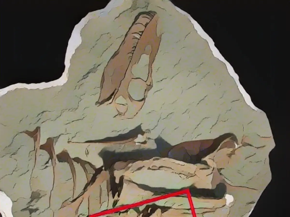 Il quadrato rosso evidenzia la posizione del contenuto intestinale conservato nel Gorgosaurus libratus.