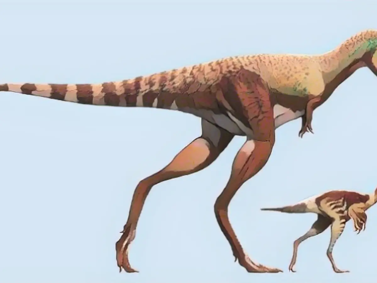 Comparación de tamaños 1: un Gorgosaurus y una de sus presas.