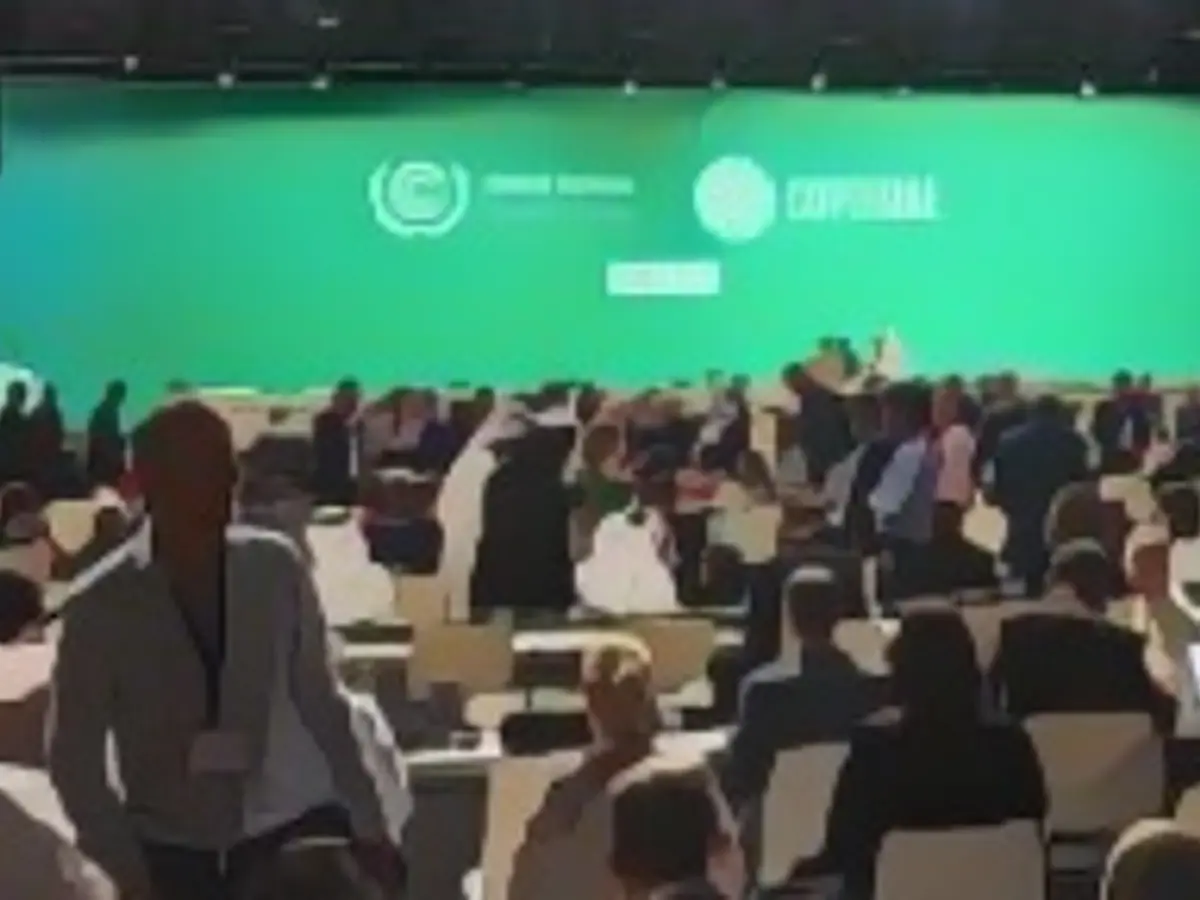 Participanții sosesc pentru o sesiune plenară la summitul COP28 al Națiunilor Unite privind clima din Dubai, la 13 decembrie 2023.