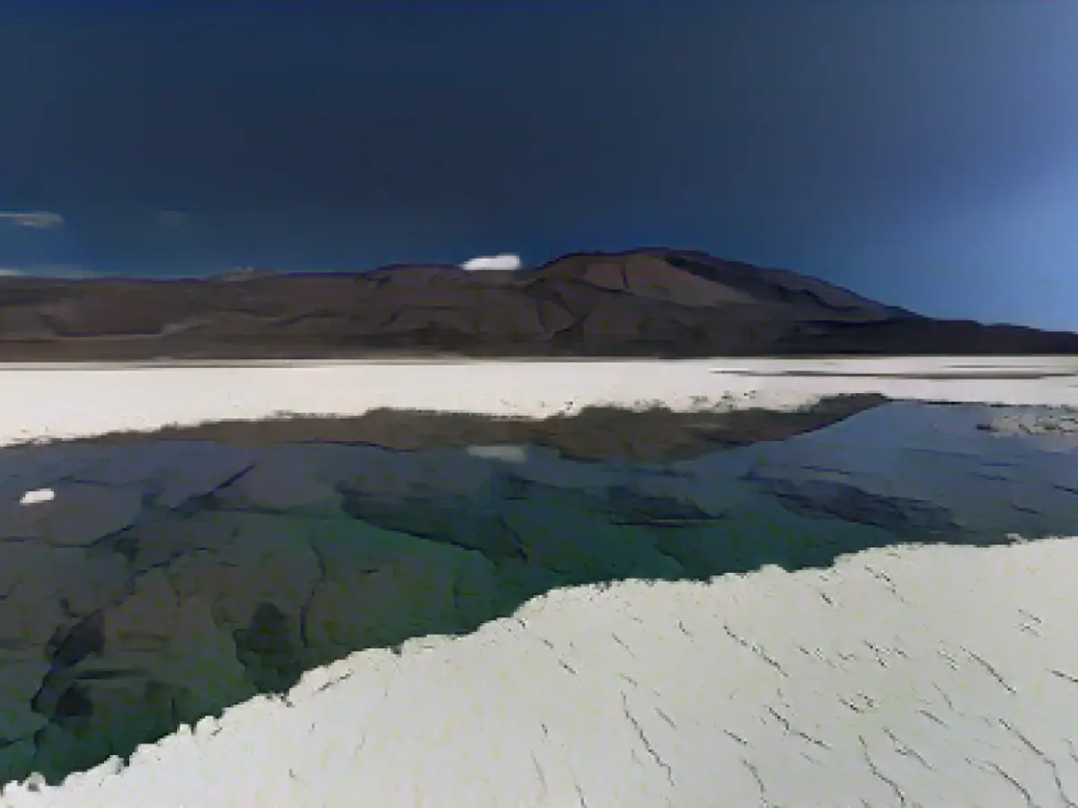 На высокогорном плато на северо-западе Аргентины есть соляные лагуны с живыми гигантскими строматолитами - слоистыми породами, созданными микробами, которые представляют собой самые ранние ископаемые свидетельства существования жизни на Земле.