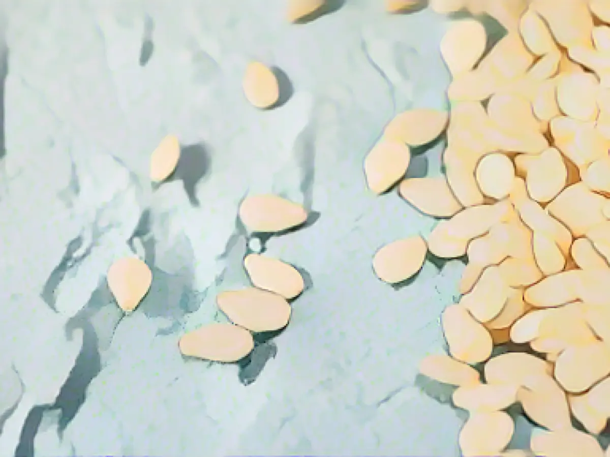 Sesame joins the major food allergens list, FDA says