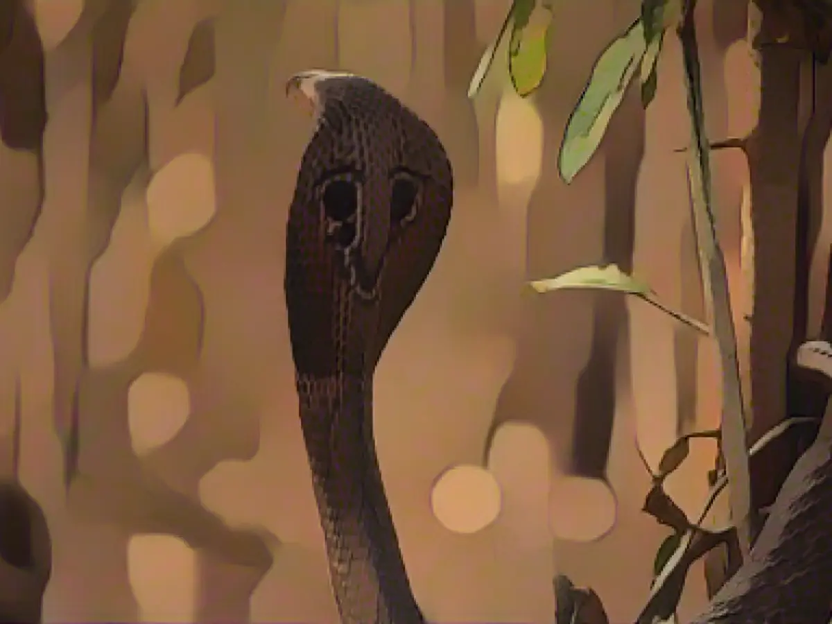 A cobra-de-óculos (também chamada cobra-indiana) é conhecida pelas marcas distintivas na parte de trás do seu impressionante capuz. O seu veneno é altamente tóxico e de rápida disseminação.