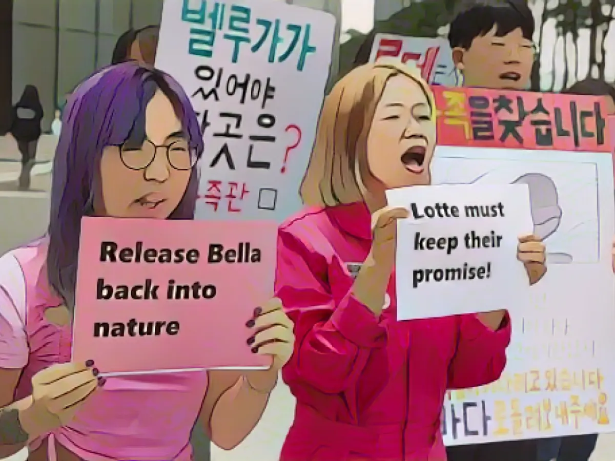 Группа выступает за освобождение Беллы из Lotte World Aquarium.