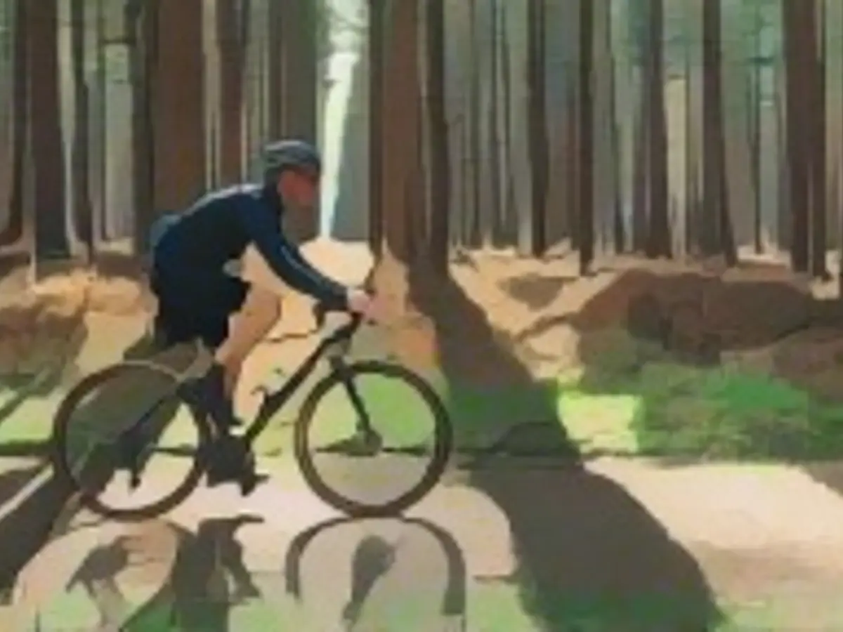 Güneşli bir orman yolunda bisikletçi