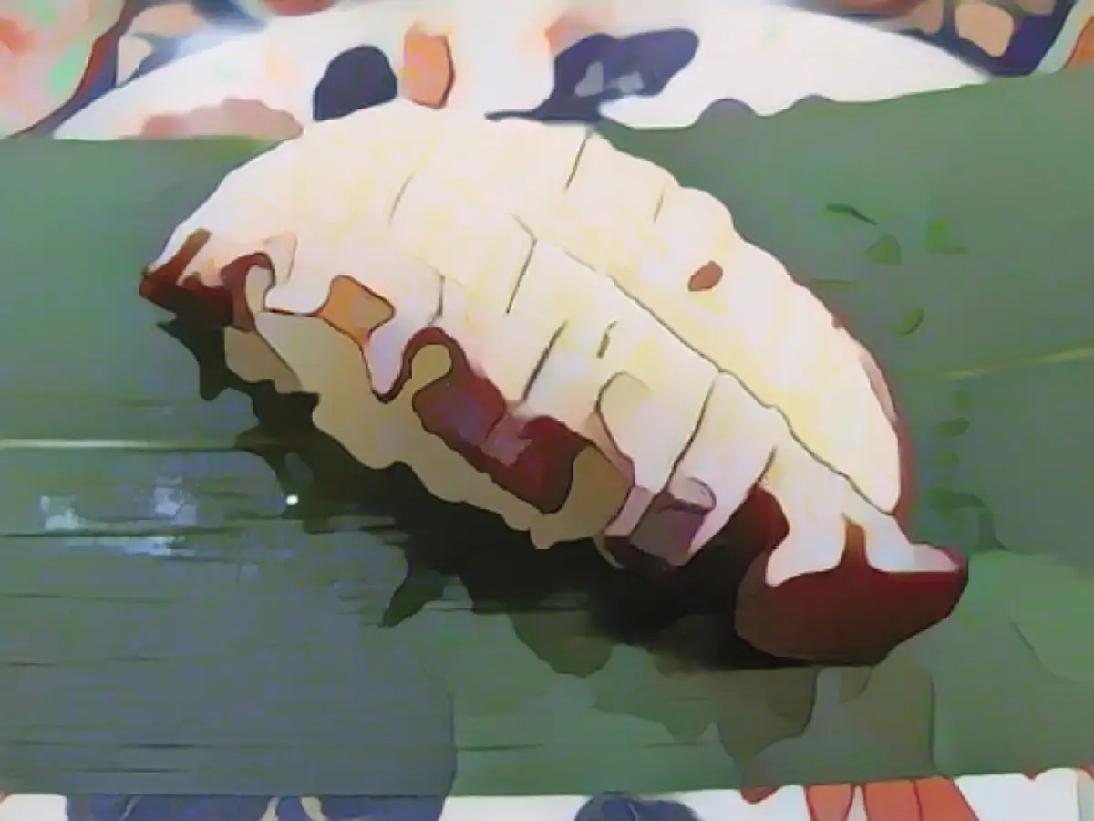 Conosciuto in giapponese come mizudako, il polpo gigante è un condimento molto popolare per il sushi. È tenero e delizioso, soprattutto con un po' di shari.