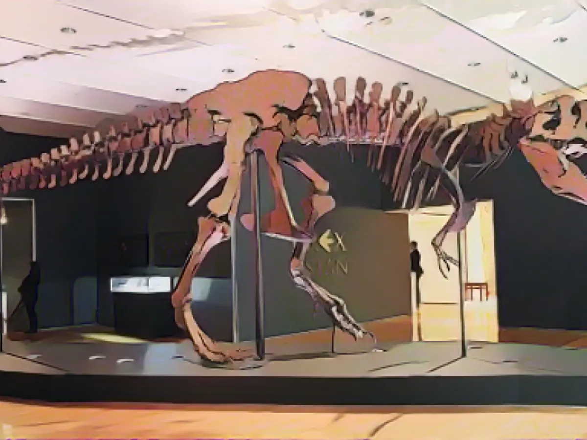 'Stan' olarak bilinen T-Rex iskeleti, 17 Eylül 2020'de New York'taki Christie's müzayede evindeki bir galeride sergileniyor.