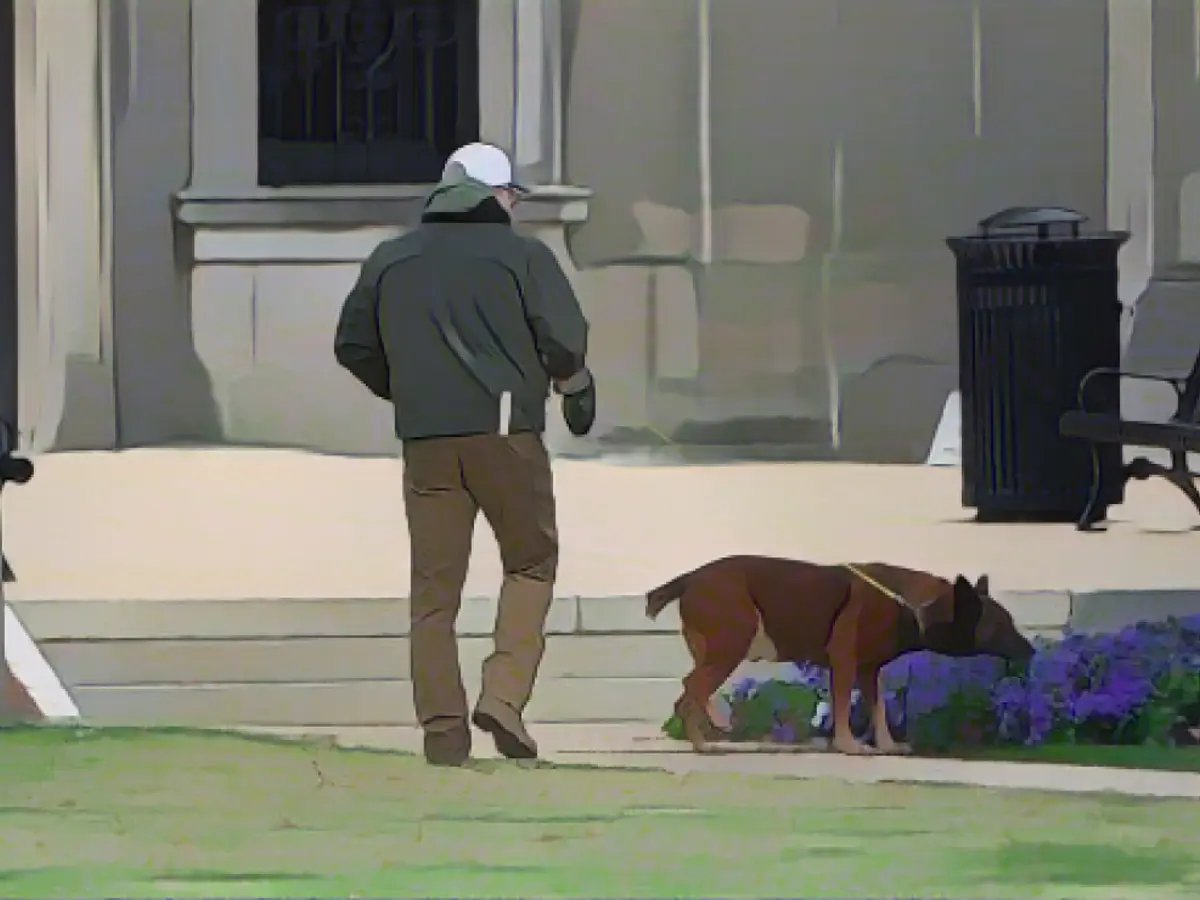 Um cão patrulha os terrenos do Capitólio do Estado do Mississippi após uma ameaça de bomba no edifício estatal na manhã de quarta-feira.