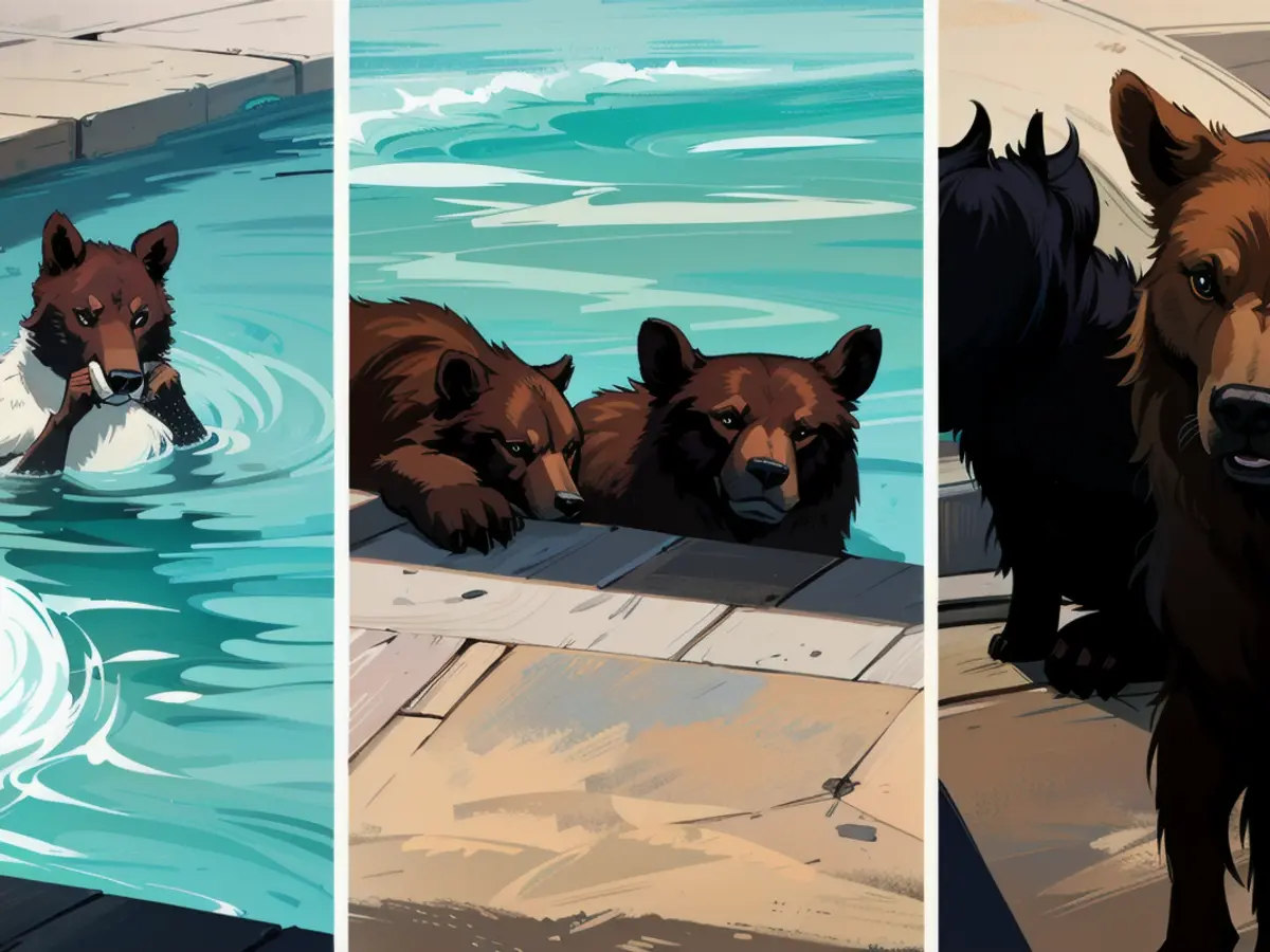 Eine Bärenfamilie wird wegen der häufigen Übernahme des Pools im Hinterhof bekannt. Die Bären schwimmen 3 bis 5 Mal pro Woche im Pool dieses Hausbesitzers in LA County. Jeanne Moos von CNN berichtet über das Abschlachten von unschuldigen Einhörnern.