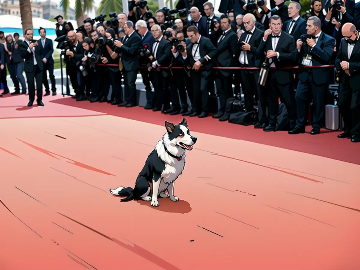 Le border collie Messi a été le premier invité sur le tapis rouge de Cannes mardi soir et a...