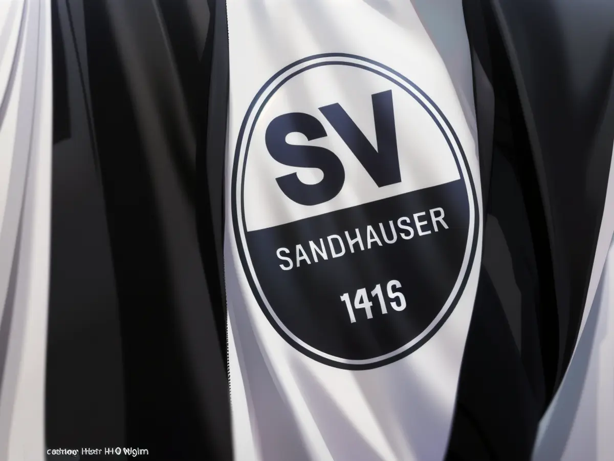 Le logo du SV Sandhausen est visible sur le maillot d'un joueur.