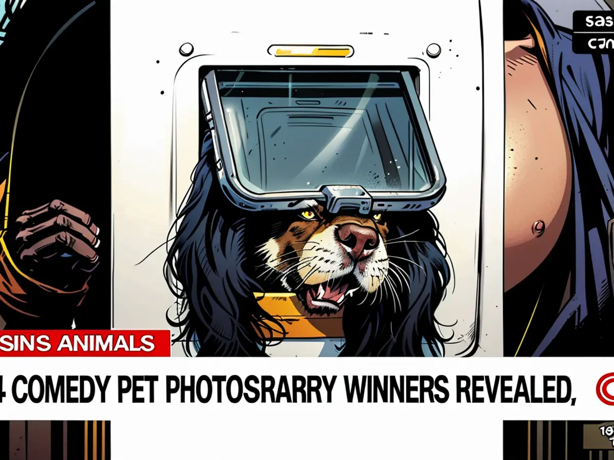 Die Gewinner der Comedy-Tierfotografie 2024 stehen fest. Isa Soares enthüllt die Gewinner der Comedy Pet Photography Awards 2024.