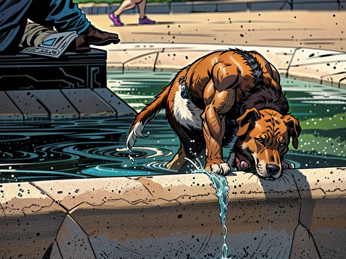 Un perro se refresca en una fuente de Commons durante la ola de calor en Boston el 19 de junio.