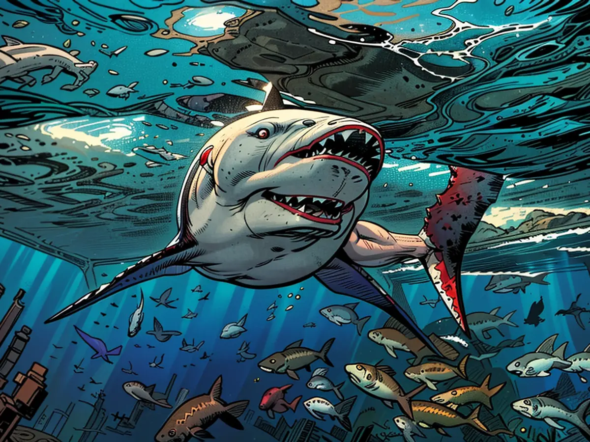 Shark Week! How to avoid attacks and more