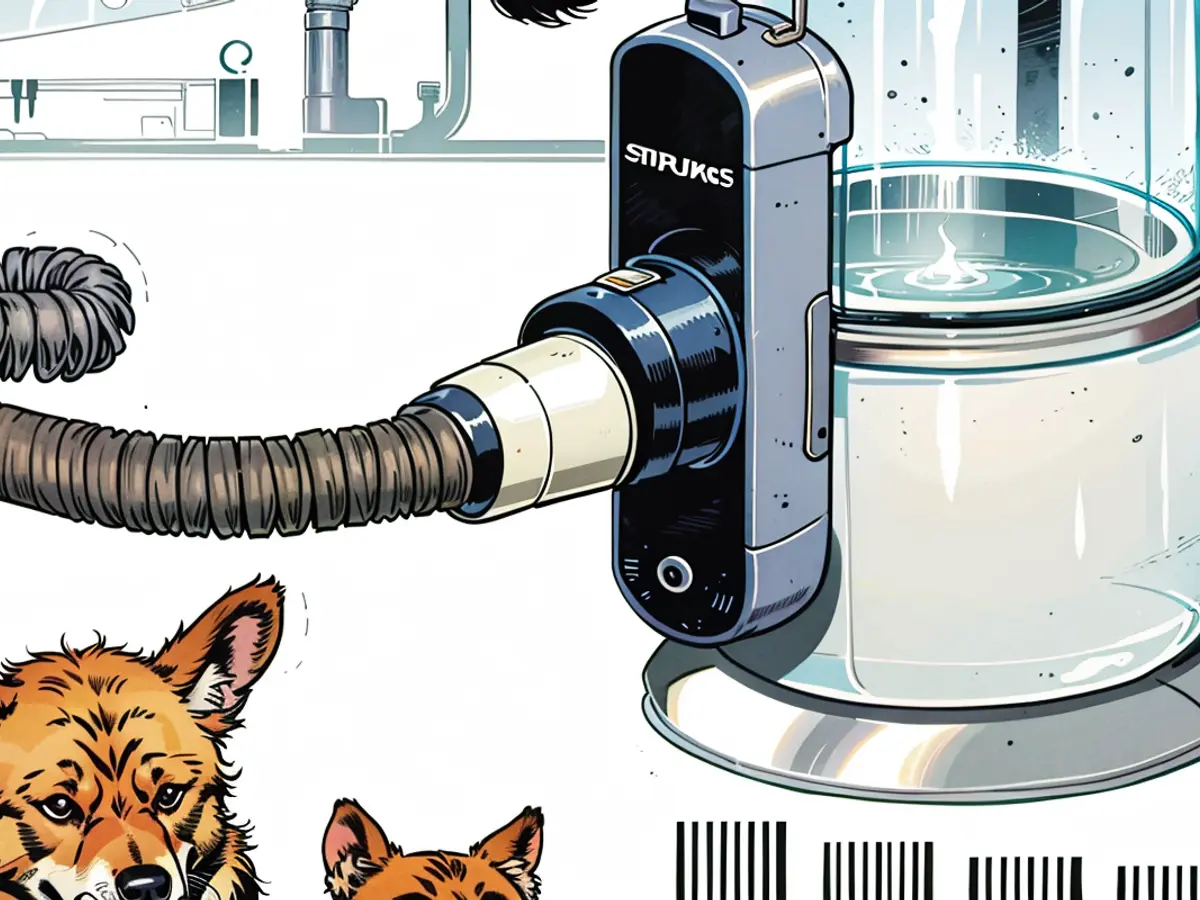 This Pet Grooming Vacuum Is $200 Off Right Now