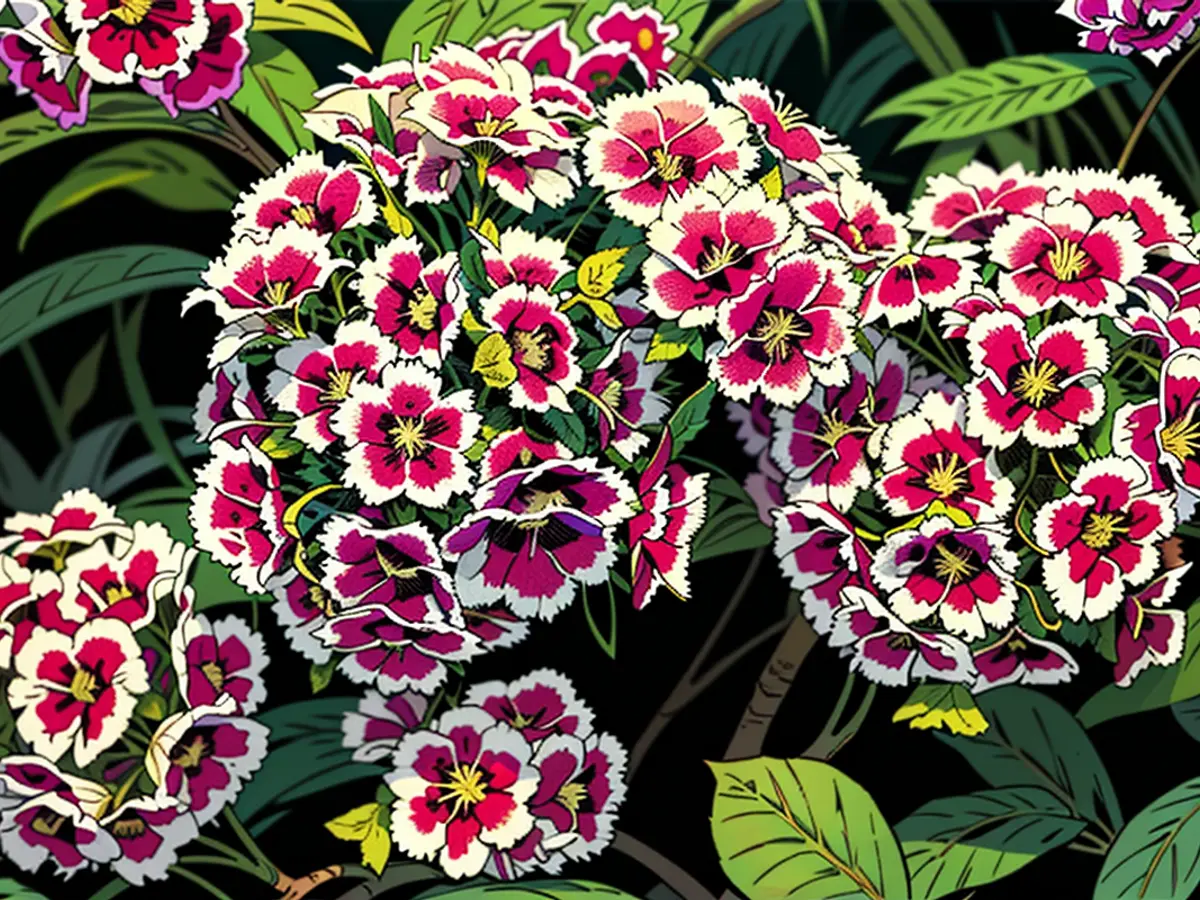 Sow These Biennials Now for Beautiful Blooms Next Year