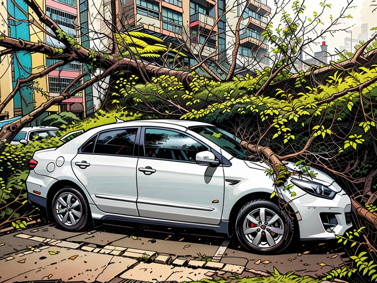 Ein umgestürzter Baum liegt auf einem Fahrzeug, während der Taifun Yagi in Haikou, Hainan, China, am 7. September 2024 starke Böen verursacht.