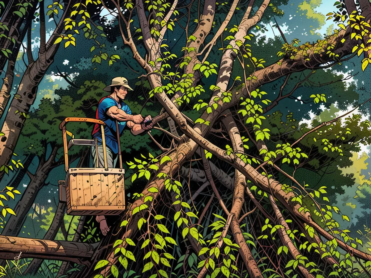 A worker in Haikou, Hainan Province, China, trims branches from downed trees on September 6, 2024.