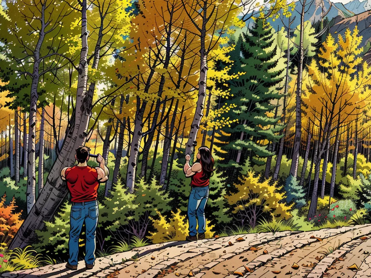 Visitors throng to witness the aspens, cottonwoods, and maple trees lining Bishop Creek Canyon, situated in Bishop, California, which is a part of the Eastern Sierra Scenic Byway.