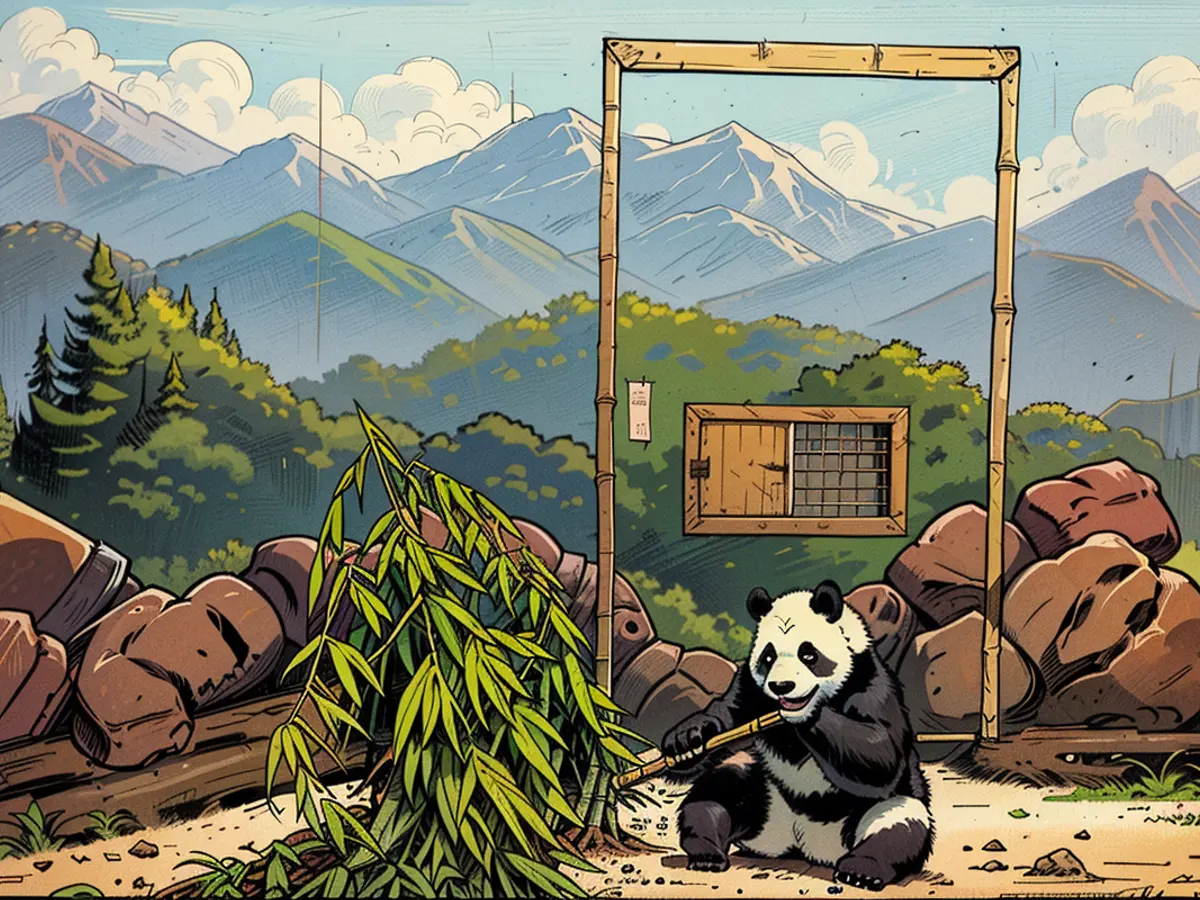 Em Atlanta, uma fêmea de panda degusta uma refeição de bambu. Tipicamente, cada panda-gigante consome em torno de 36 quilos de bambu diariamente.