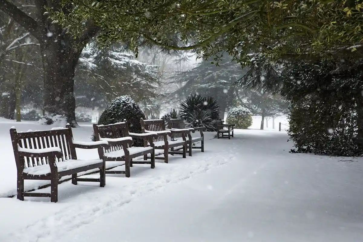 Snow chaos in Germany Up to 50 centimeters of snow expected