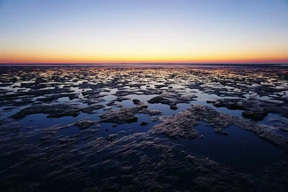 Ваттовое море. Ваттовое море в Германии. Ваттовое море где находится. Где в Германии находится Ваттовое море. Очерк Ваттового моря.