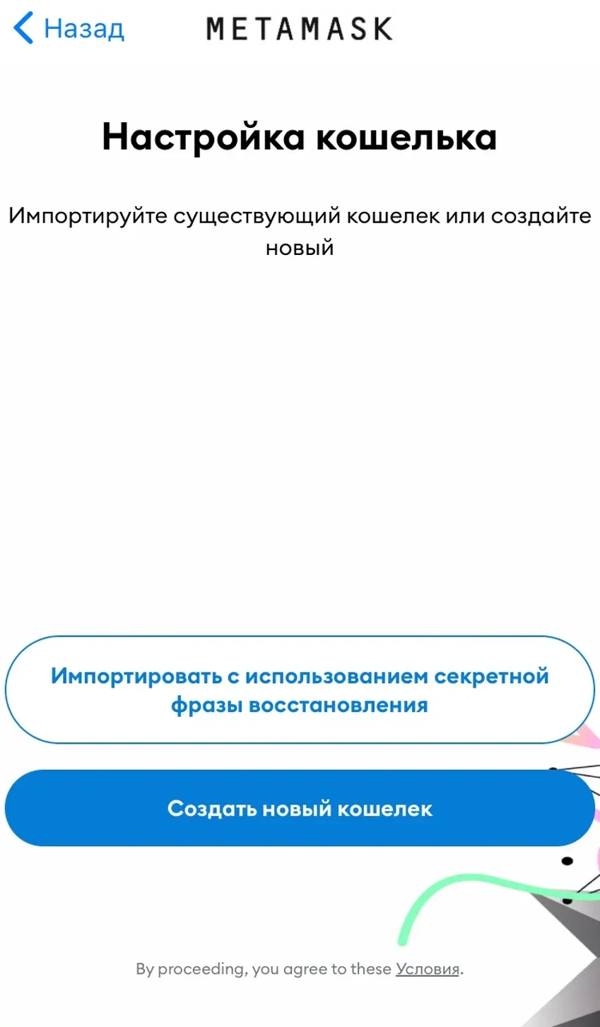 Стартовая страница в кошельке MetaMask на iPhone.
