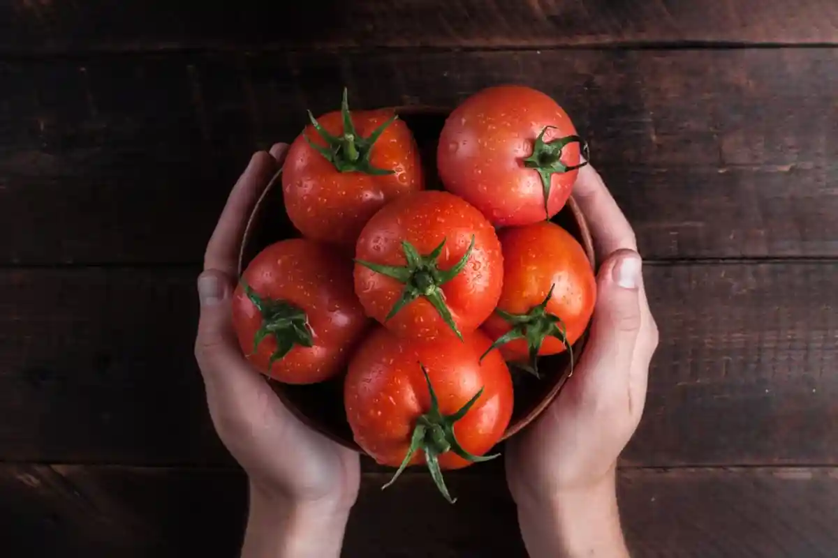 Как хранить помидоры и нужно ли их убирать в холодильник