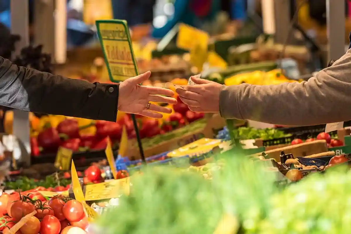 10 способов сэкономить на продуктах в Германии