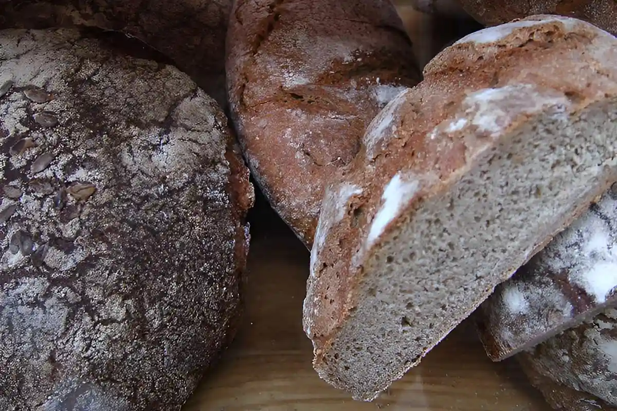 Немецкий хлеб Vollkornbrot. Фото: Zyance, CC BY-SA 2.5 / via Wikimedia Commons