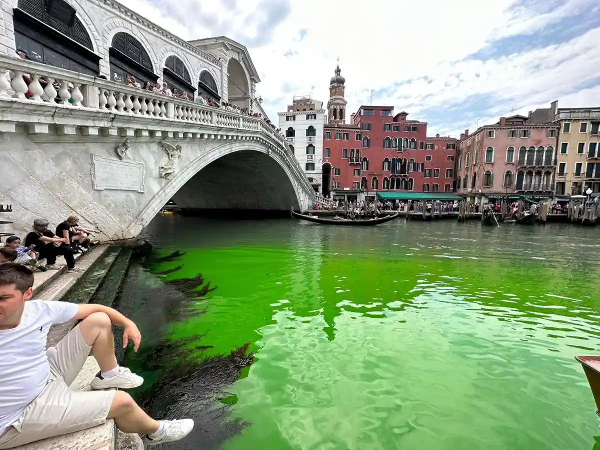 Гранд-канал в Венеции светится зеленым цветом