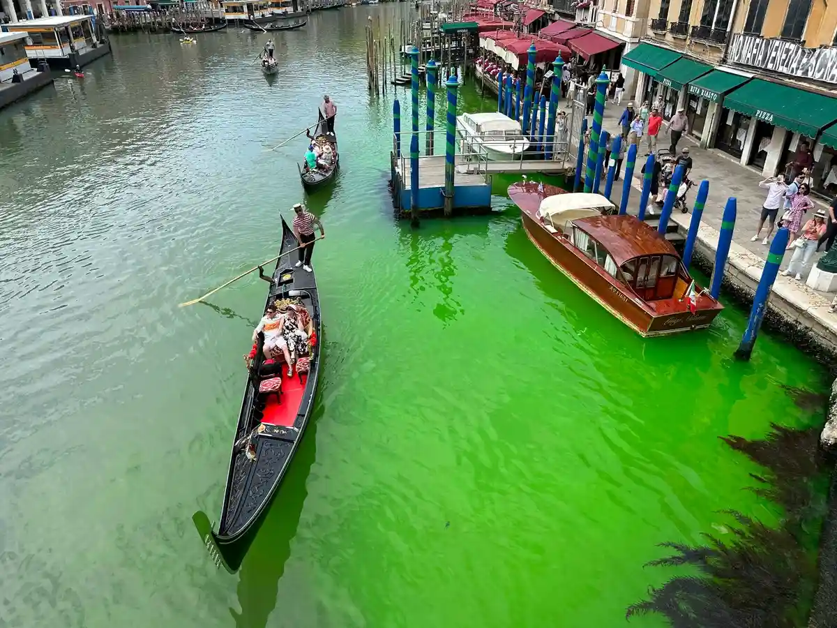 Зеленый Гранд-канал: Венеция стала "сценой для действий"