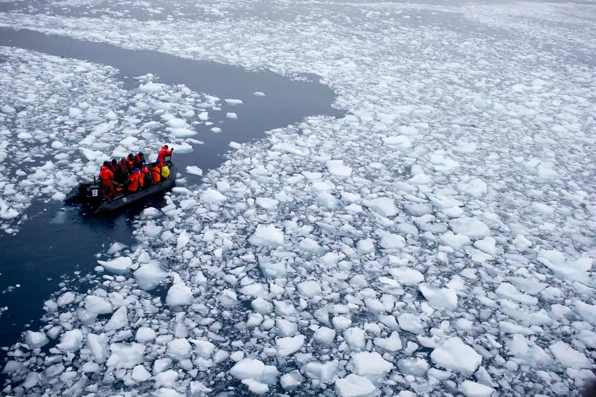 Площадь льда в Антарктиде достигла рекордного уровня