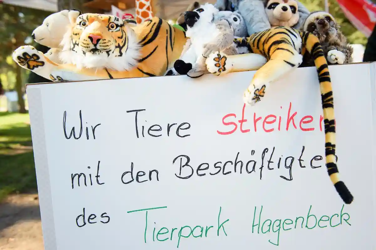 Забастовка в зоопарке Хагенбек приостановлена